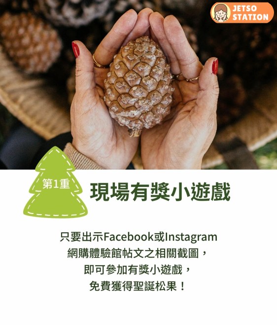 免費換領聖誕松果