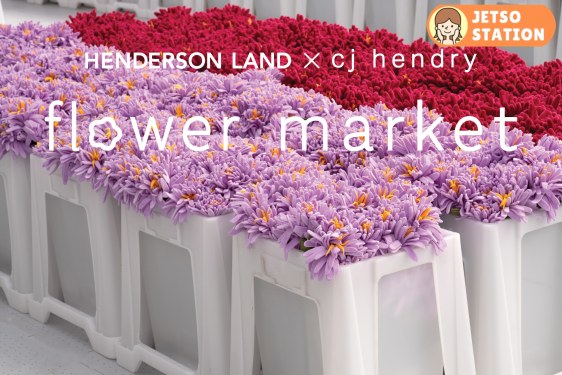 免費入場參觀15萬枝毛絨花花海！免費送毛絨花